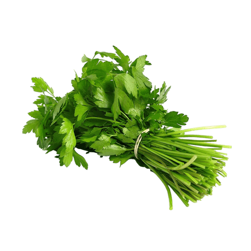 Fresh - 1 Bunch Fresh Dhaniya (40g to 60g) (Coriander leaves)